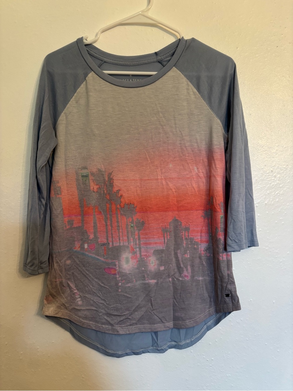American Eagle Outfitters blue Raglan Tee with Coral Sunset Print